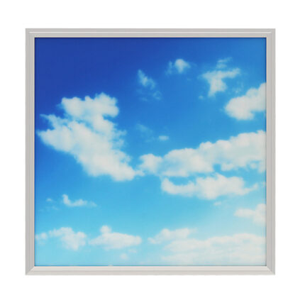 Skylight Artificial LED Panel